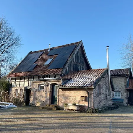 Apartment Gruen In Gruen Detmold